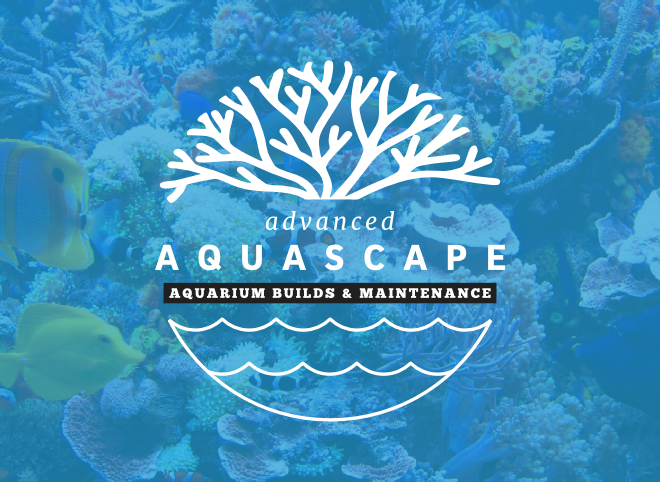 Advanced Aquascape